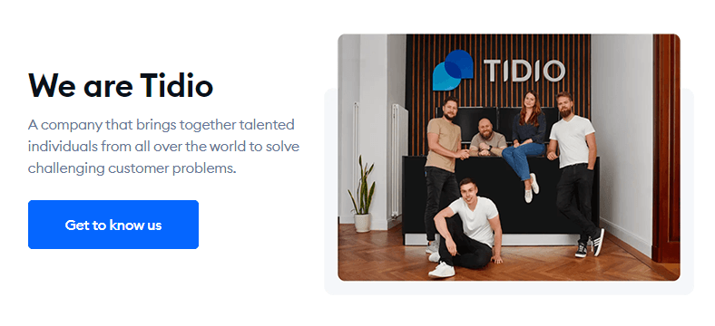 tidio.com review - AI Customer Services Tool